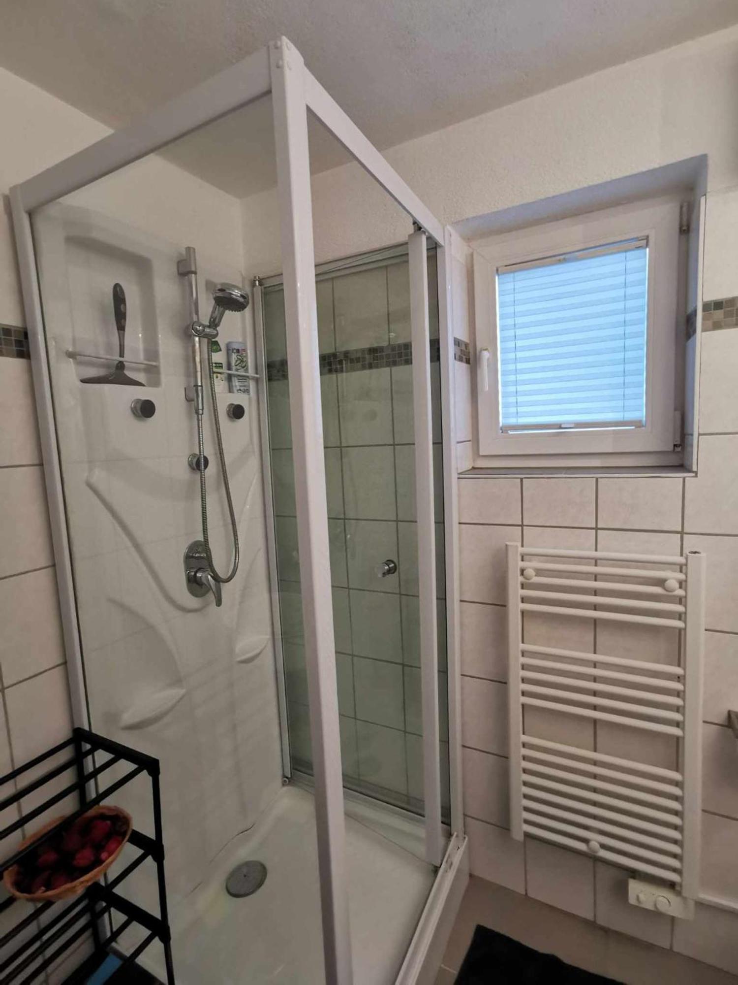 Alpha Alpin Apartment Zell am See Buitenkant foto